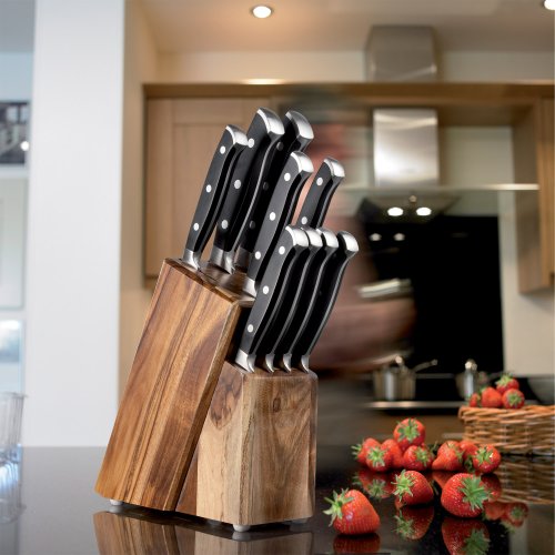 9 Piece Kitchen & Steak Knife Set with Acacia Knife Block
